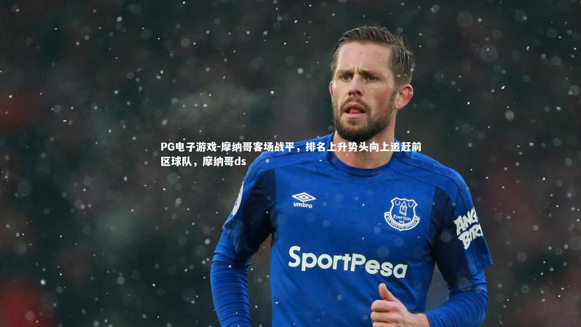 摩纳哥客场战平，排名上升势头向上追赶前区球队，摩纳哥ds